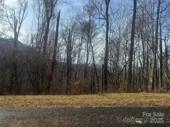 0 Wild Turkey Rd #21, Bakersville, NC 28705