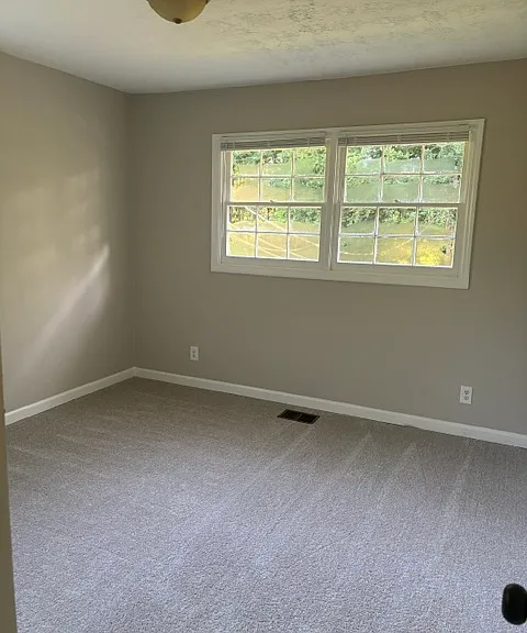 293 Flat Rock Rd — Photo 6