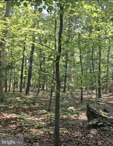 Anna Coves Ct, Mineral, VA, 23117