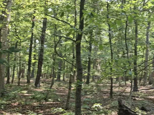 Anna Coves Ct, Mineral, VA 23117