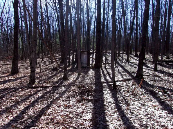 Nhn Vanden Trl, Harrison, MI 48625