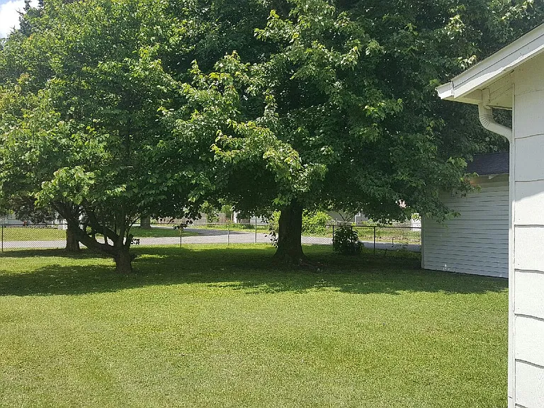 backyard_05202016