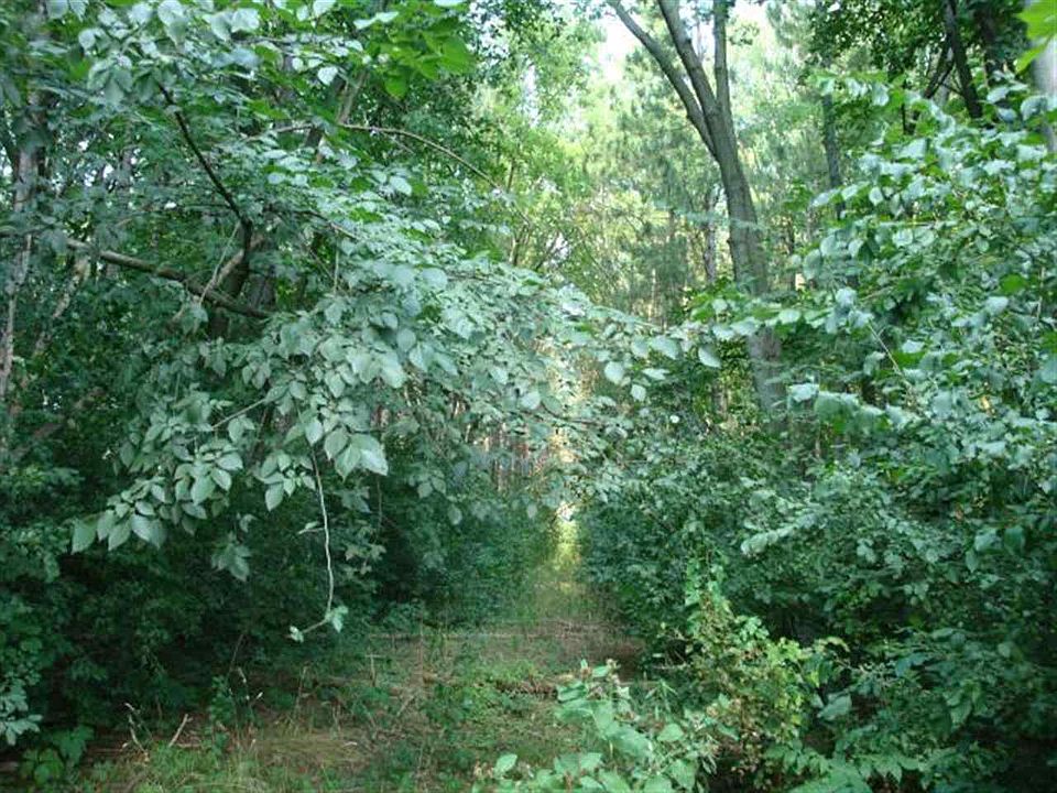2nd image of 0 County Road B