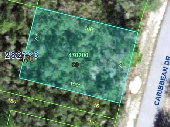 1250 CARIBBEAN DRIVE LOT 20, KISSIMMEE, FL 34759