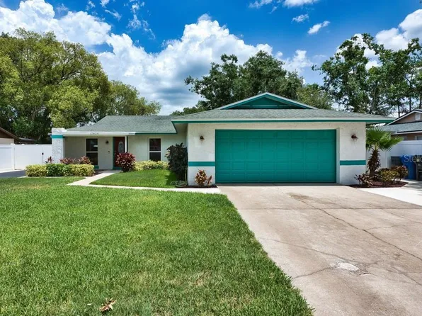 17824 Morninghigh Dr, Lutz, FL 33549