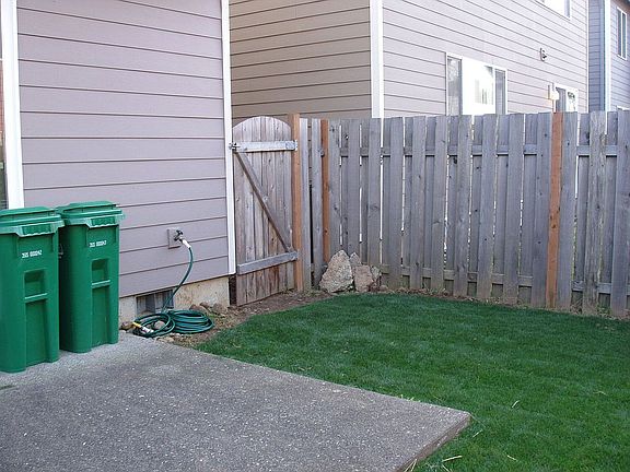 back yard