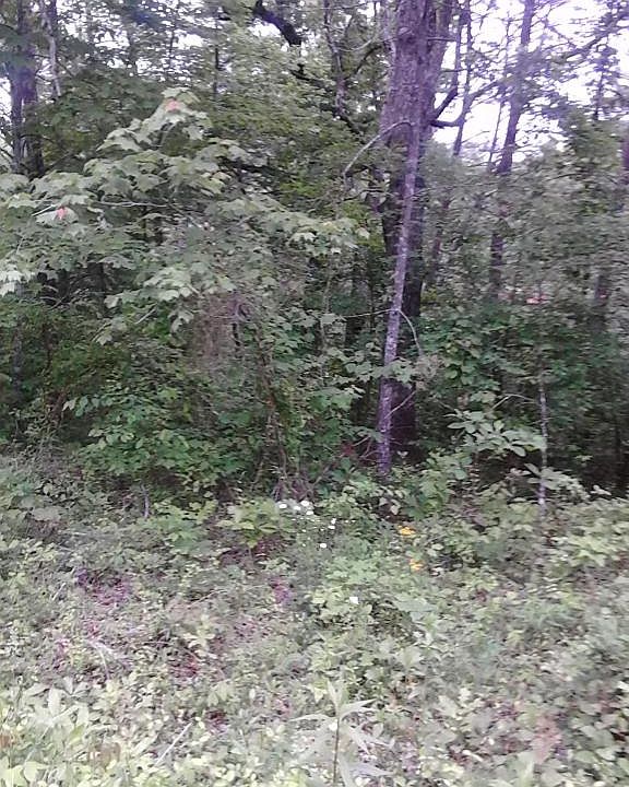 1st image of 2046 Iowa Dr