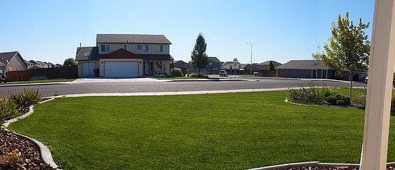 Front Yard
