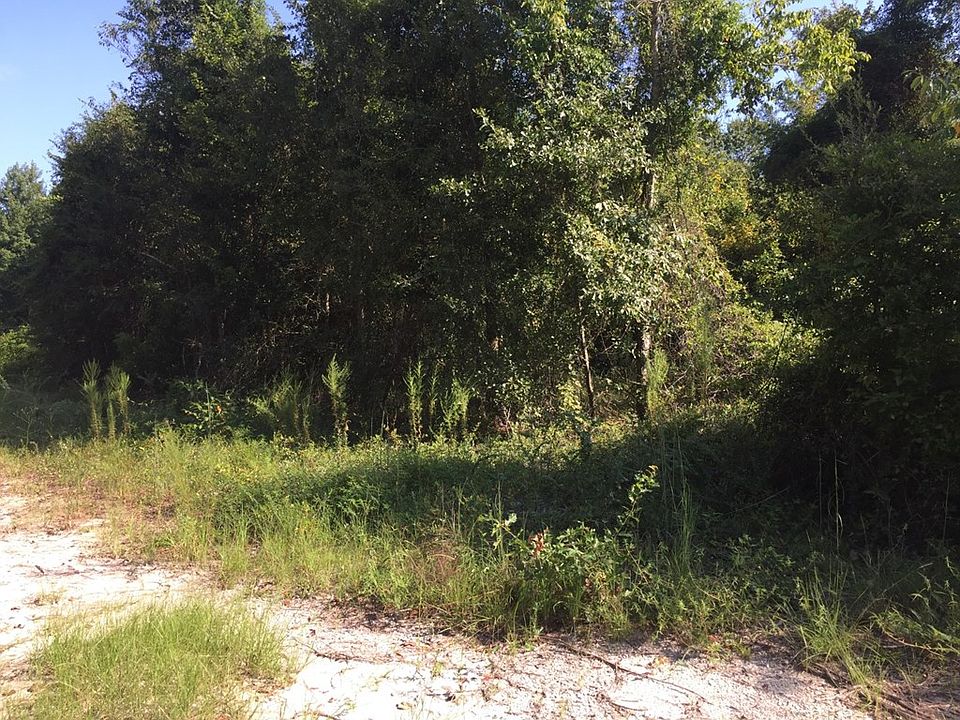 2nd image of 2229 McNutt Rd