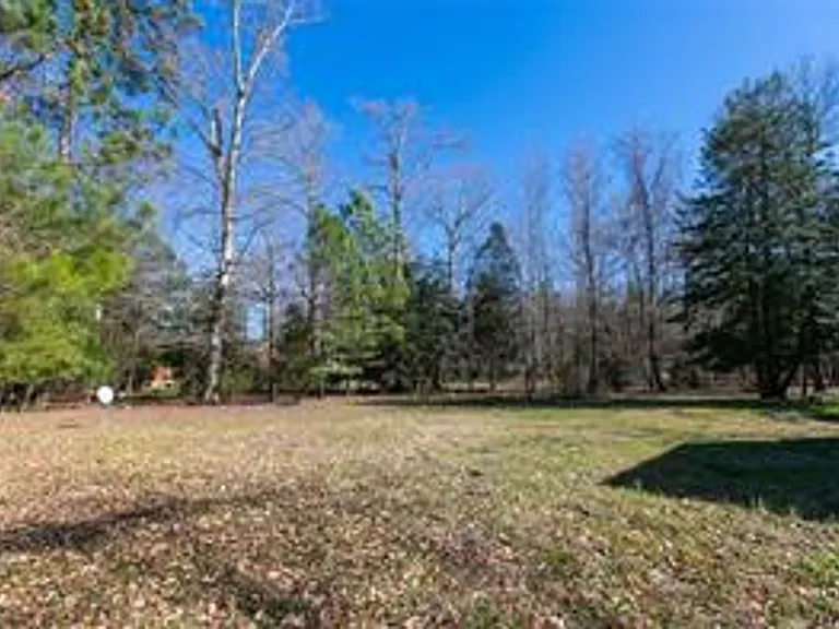 2911 Richard Pace S — Photo 45