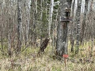 E Orienta Falls Rd, Pt Wing, WI 54865