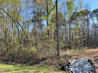 0 Savannah Town Road, Springfield, GA 31329