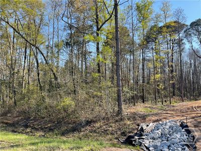 0 Savannah Town Road, Springfield, GA, 31329