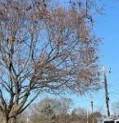 Exterior Neighborhood (street photo)