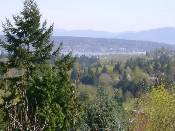 Lake WA and Mountain Views