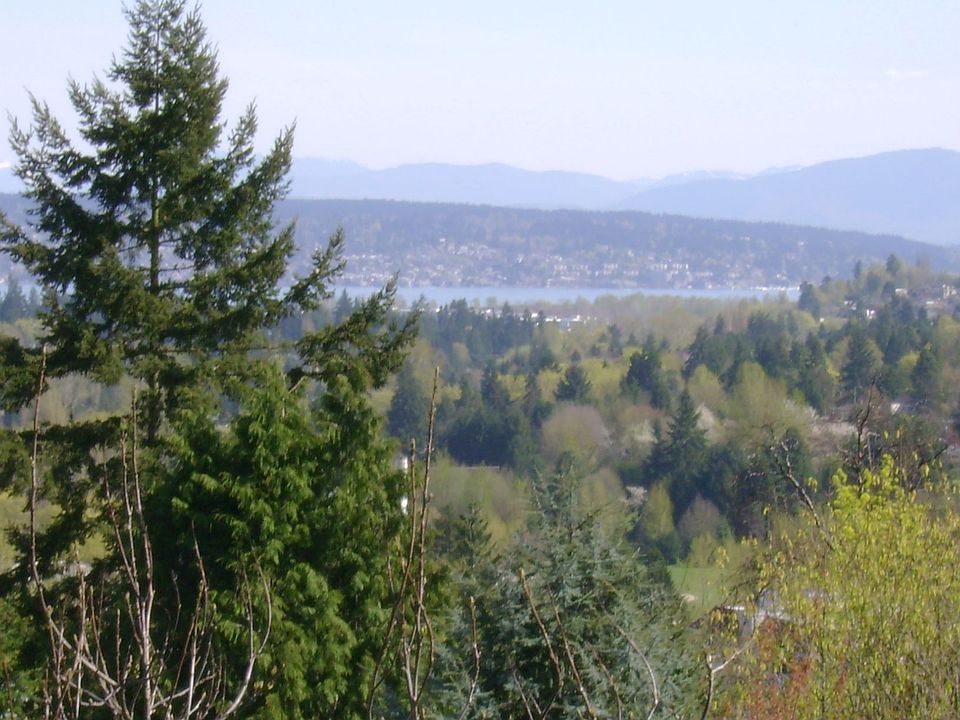 Lake WA and Mountain Views