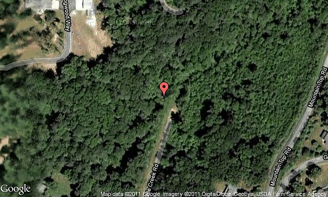Map View