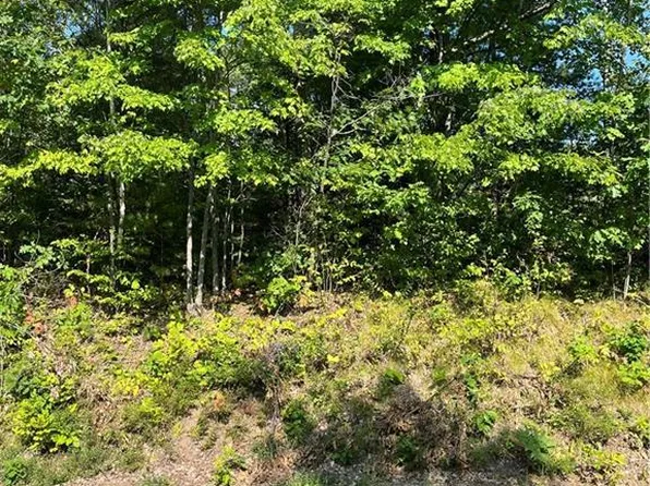 0 HWY E Highway, Hayward, WI 54843