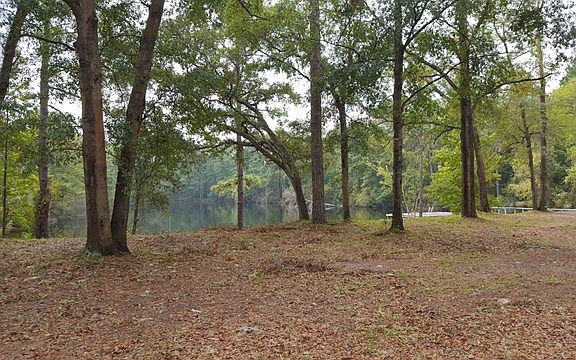 4th image of 5781 Old Highway 259