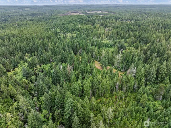 80 NE Smithy Forge Lane, Belfair, WA 98528