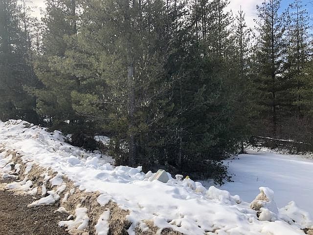 2nd image of 122 Trail Blazer Ct
