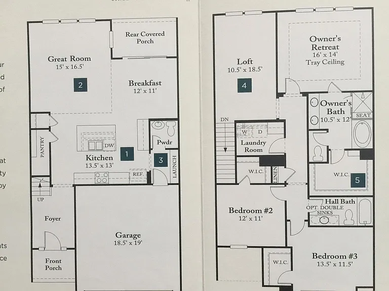 Layout