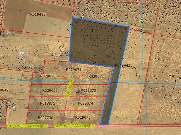 Cuervo Canyon Rd, Torreon, NM 87061