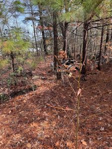 0 Long Point Rd, Hague, VA, 22469
