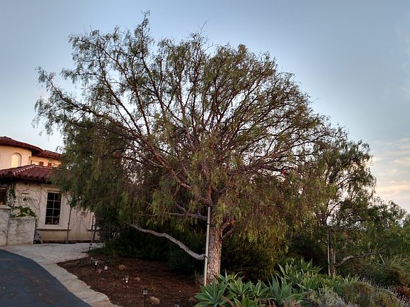 3rd image of 7751 Doug Hill Ct