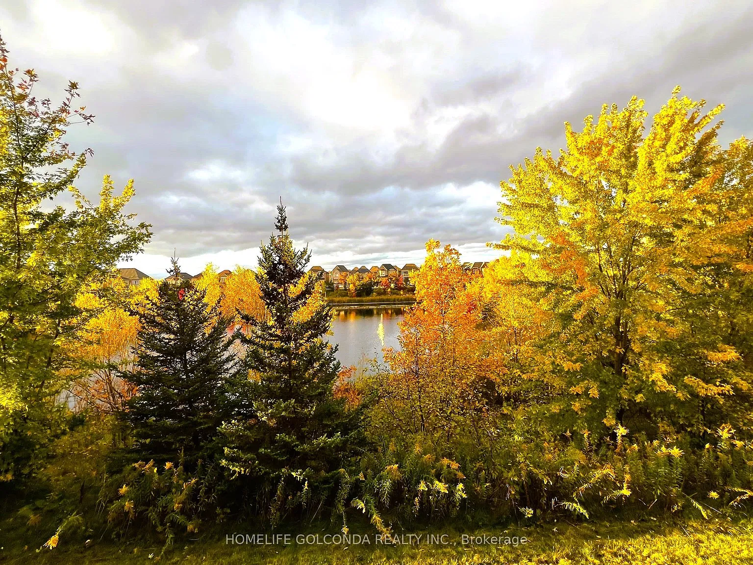 3 bed, $3,800 — Photo 3
