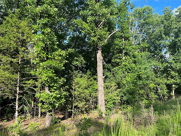 5th image of Grassy Gap Rd