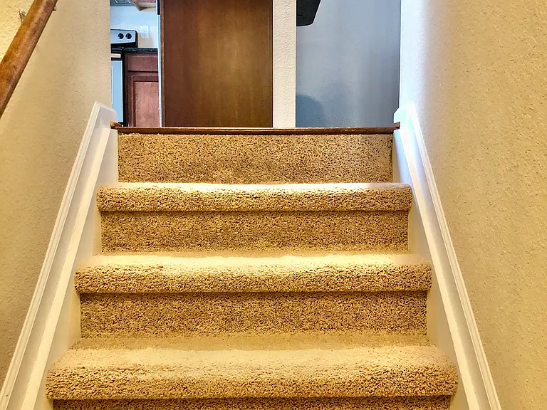 4805 Carnelian Way — Photo 12