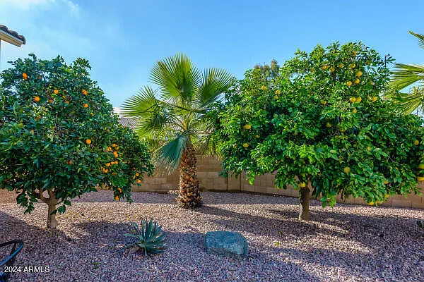 1568 E San Remo Ave — Photo 58