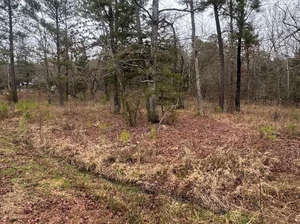 16 Rabbitt Trl, Kirby, AR 71950