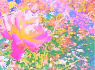 8 Kucko Rd #8, Willington, CT 06279