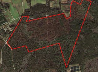 TBD 225.5 Acres Coates Rd. #Ocean Grove Resort, North Myrtle Beach, SC 29582
