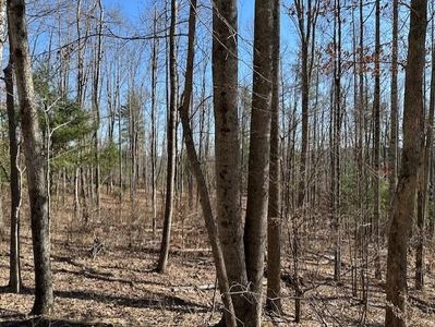 362 Band Of Hope Rd Tract 2, Renick, WV, 24966
