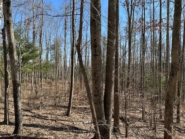 362 Band Of Hope Rd Tract 2, Renick, WV 24966