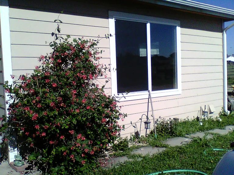 Front Yard