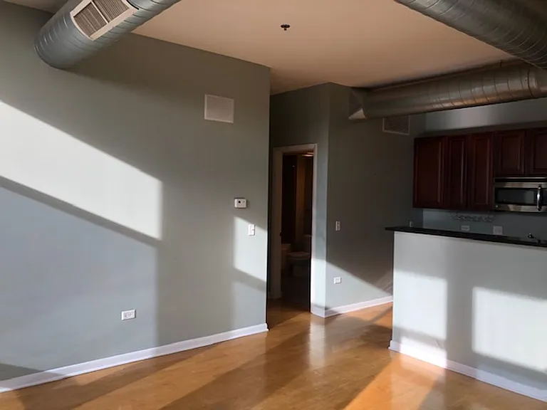 1550 S Blue Island Ave #1211 — Photo 13