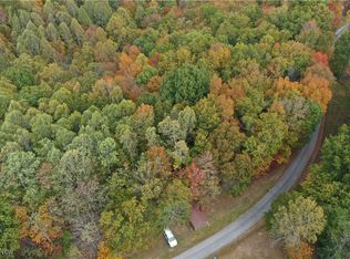 731 Riffle Run Rd, Grantsville, WV 26147