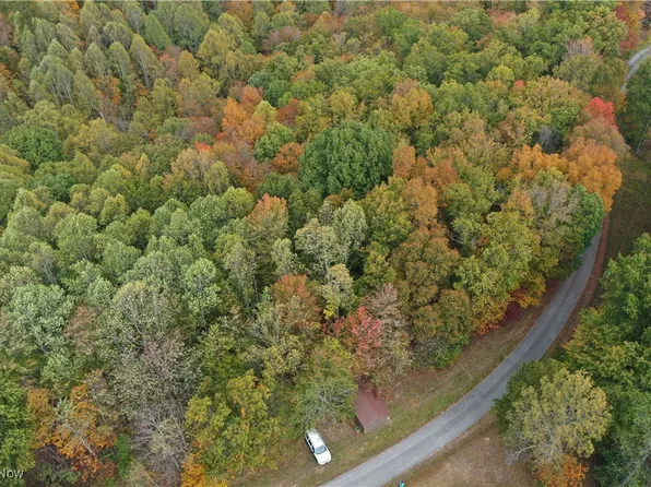 731 Riffle Run Rd, Grantsville, WV 26147