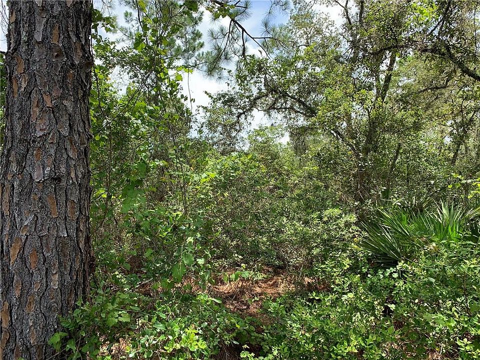 Royal Trails, Eustis, FL 32736 Zillow