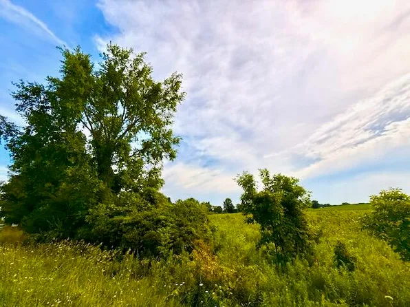 0 Carpenter Rd, Three Oaks, MI 49128
