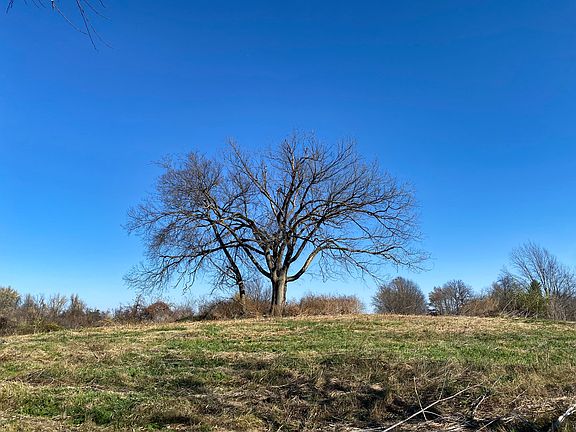 The knoll on the ridge out back of the barn