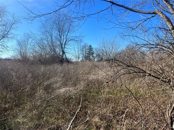 5th image of 322 S Primrose Rd