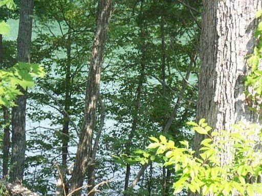 1st image of 451 Laurel Lake Cir