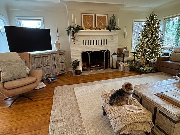 Adorable dog not included