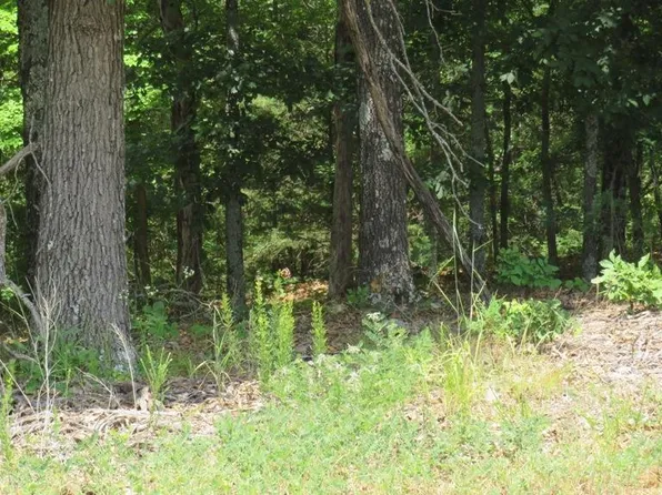 19 County Road 15, Mountain Home, AR 72653