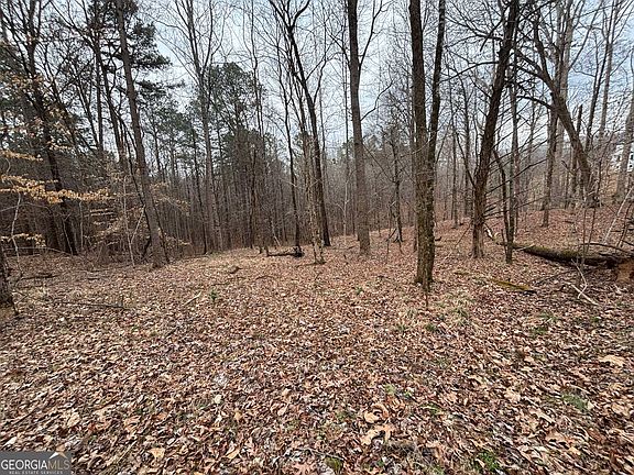 4th image of 0 Oconee Rd Lot 1